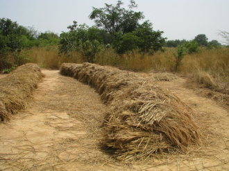 06 Sechage Du Riz